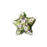 Rouwbloemstuk Manon ster