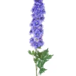 Tina Collection zijde Delphinium 114cm paars