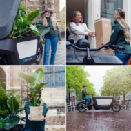 Tuinkruiden Mix - 4 stuks - Ø14cm - ↕18cm - Afbeelding 6