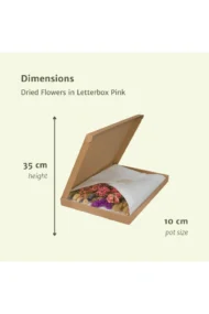 Droogbloemen in Letterbox - Pink - Afbeelding 2