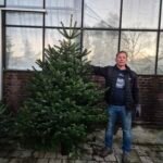 Nordman kerstboom 200-250cm kopen