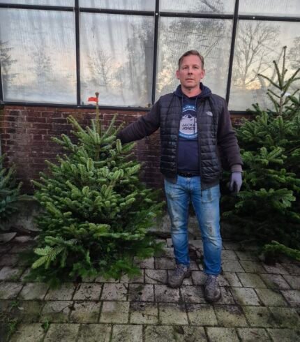 Nordman kerstboom 125-150cm
